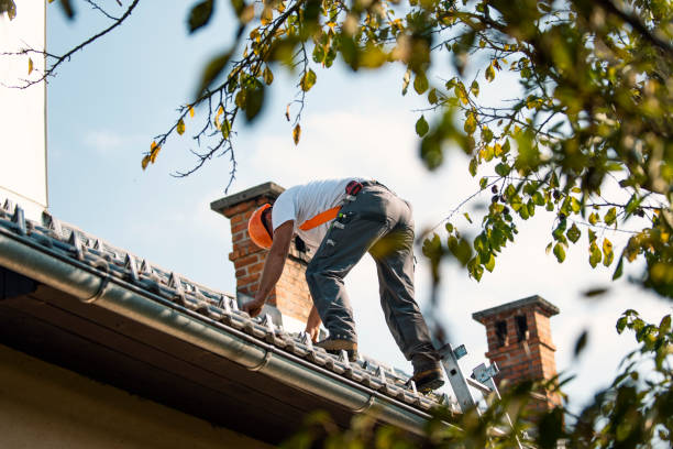 Emergency Roof Repair in Apple Creek, OH