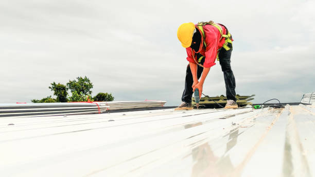 Best Emergency Roof Repair  in Apple Creek, OH