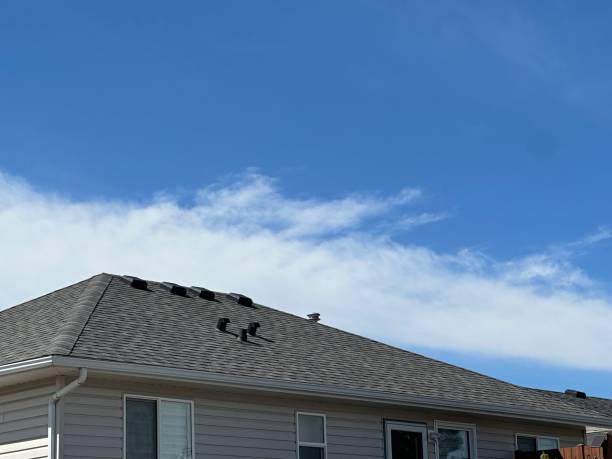 Best Green or Eco-Friendly Roofing Solutions  in Apple Creek, OH